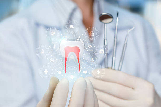 Trusted Zillah, WA Holistic Dental Care Services Experts
